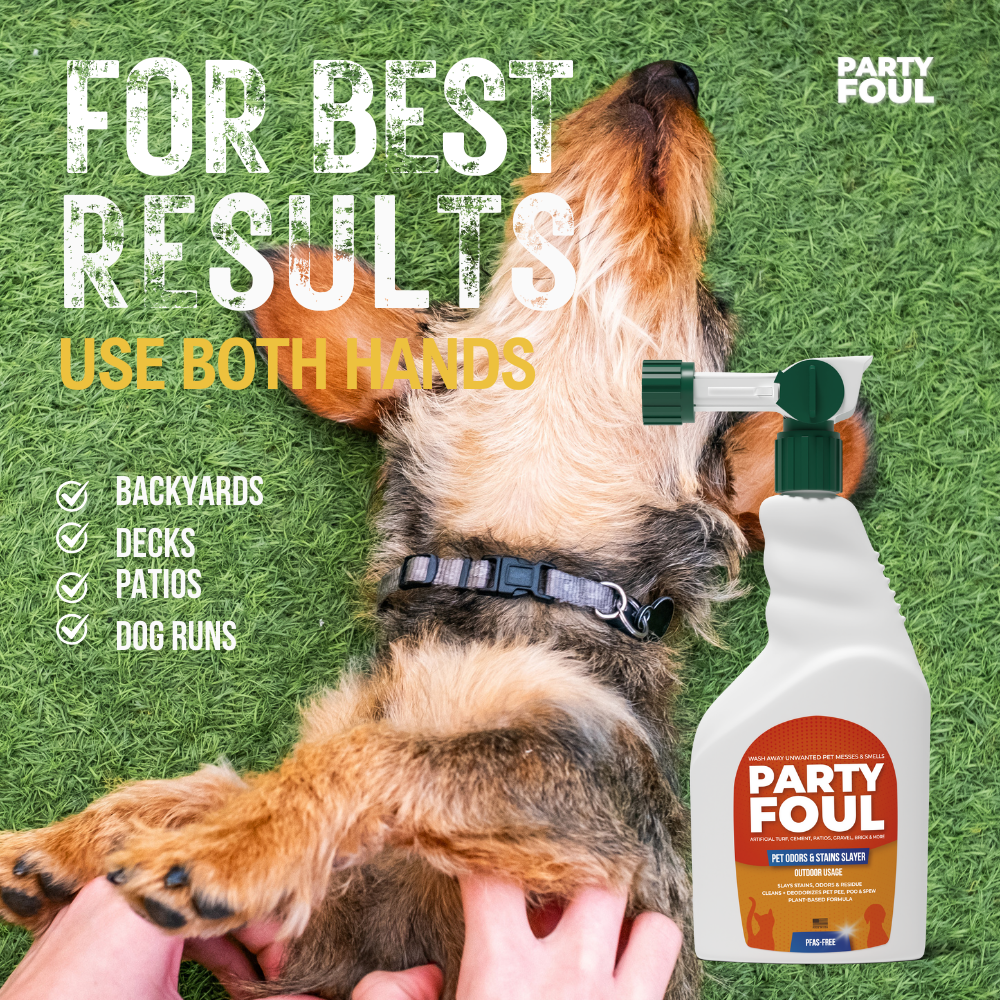 Party Foul 32oz Pet Odors & Stains Slayer 3-Pack